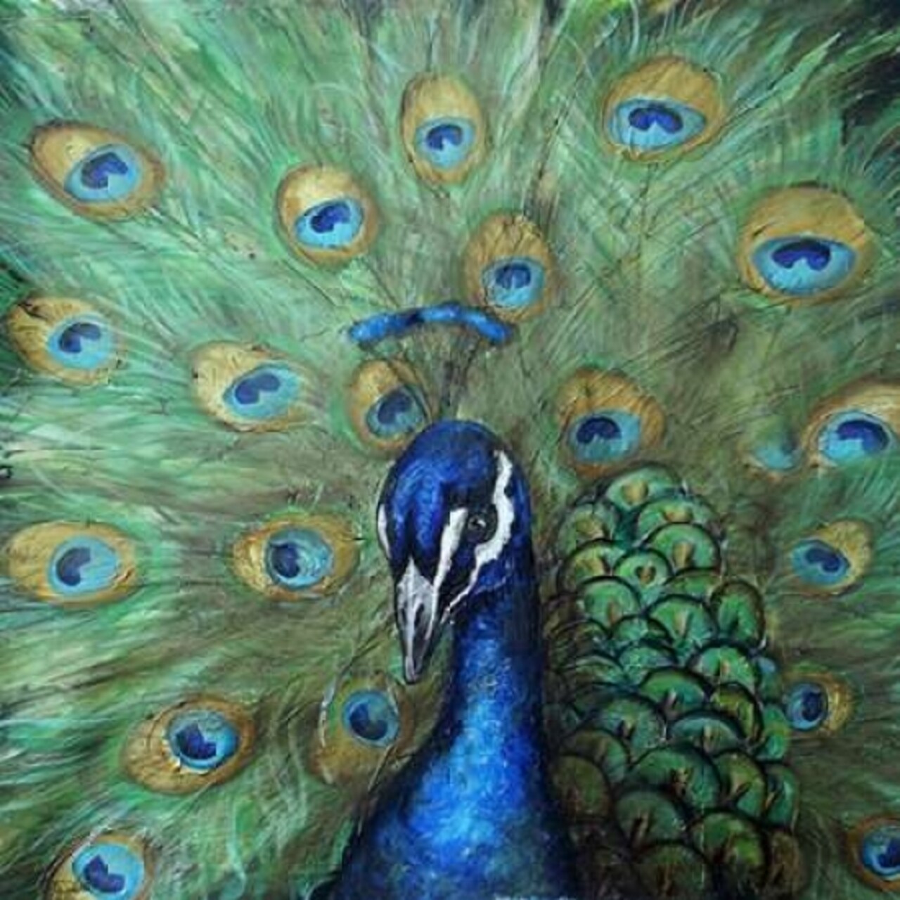 Painted Peacock Poster Print by Tre Sorelle Studios - Item # VARPDXRB10728TS
